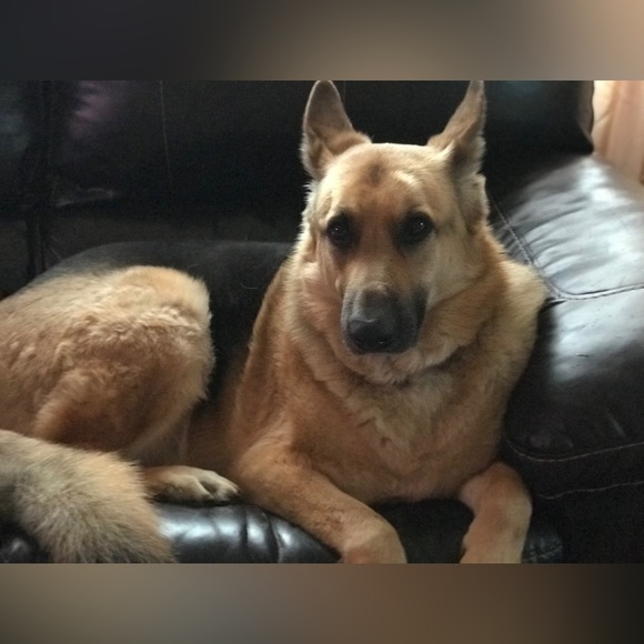 Diva Dee Bundles LIVE! 🌹Like this to be notified! 🌹 - Picture 12 of 16